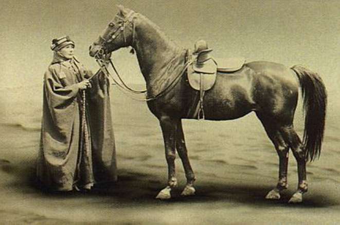 رحلة الليدي آن بلنت ونقش سكاكا