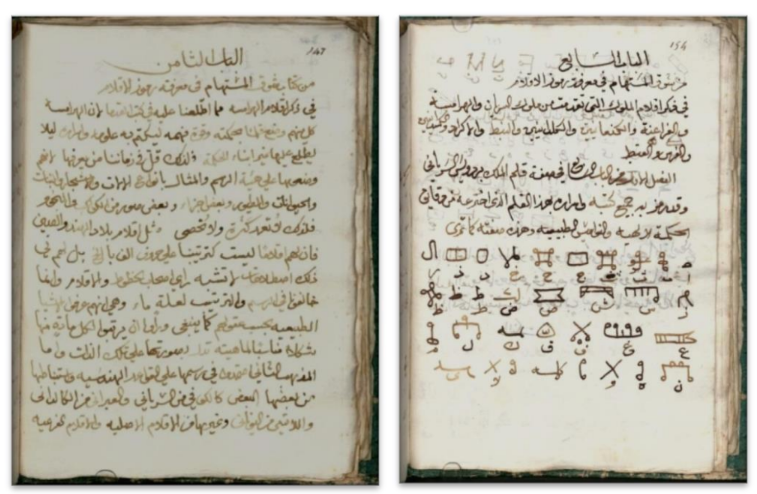 ابن وحشية واللغة المصرية القديمة