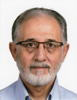 أ.د فاروق إسماعيل